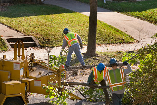 Best Seasonal Cleanup (Spring/Fall)  in East End, AR